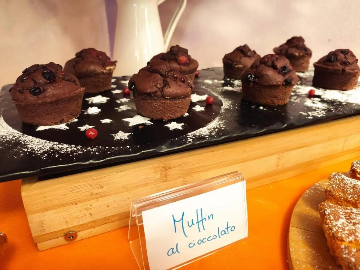 Hotel Senior Cattolica