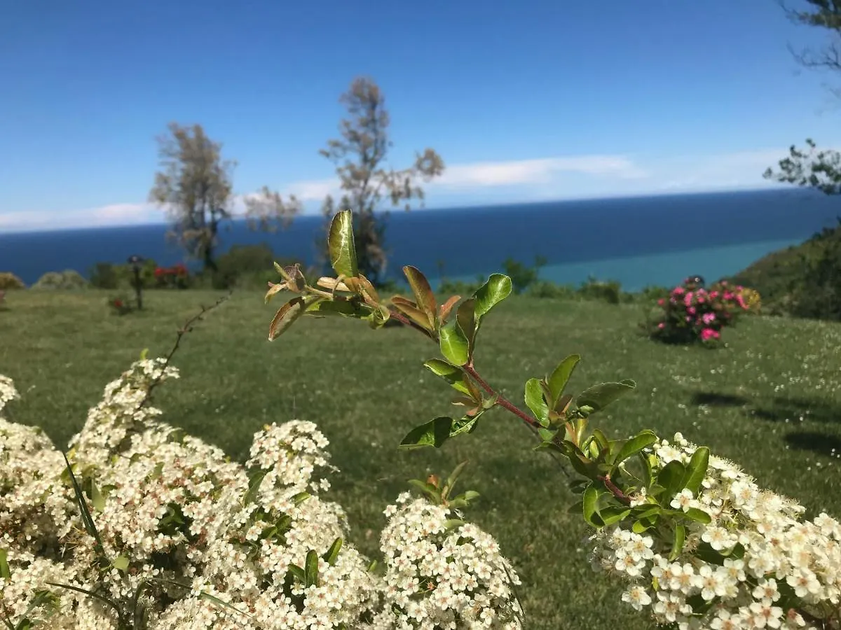 ***  Hotel Senior Cattolica İtalya
